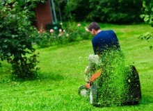 Kwikfynd Lawn Mowing
boranup