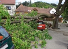 Kwikfynd Tree Cutting Services
boranup