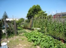 Kwikfynd Vegetable Gardens
boranup